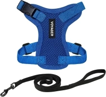 Voyager Step-in Lock Adjustable Cat Harness w. Cat Leash Combo Set with Neoprene Handle 5ft - Supports Small, Medium and Large Breed Cats by Best Pet Supplies - Royal Blue, XXXS