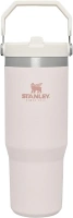 STANLEY IceFlow Stainless Steel Tumbler with Straw, Vacuum Insulated Water Bottle for Home, Office or Car, Reusable Cup with Straw Leak Resistant Flip