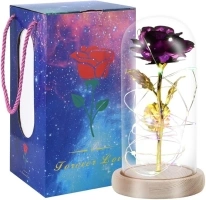 Enchanting Gold Foiled Rose Lamp in Glass Dome - Eternal Flower Gift for Mom, Women, Wife, Girlfriend on Birthday, Mother