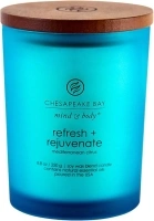 Chesapeake Bay Candle PT41312 Scented Candle, Refresh + Rejuvenate (Mediterranean Citrus), Medium, Home Décor