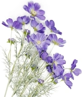 Purple Artificial Flowers Fake Cosmos Flowers, 2 Pcs Wedding Bouquets Artificial Cosmos Flowers Bulk, 23.6 Inch Realistic Artificial Flower Faux Silk Cosmos for Vase, Dining Table, Floral Arrangement